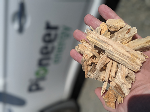 Biomass600 Biomass600