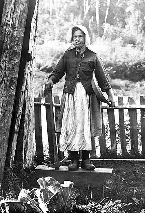 Little Biddy RESIZED