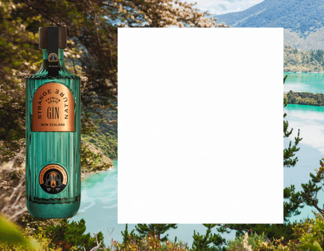 Toast in article imagery 650 203px 24 Toast in article imagery 650 203px 24