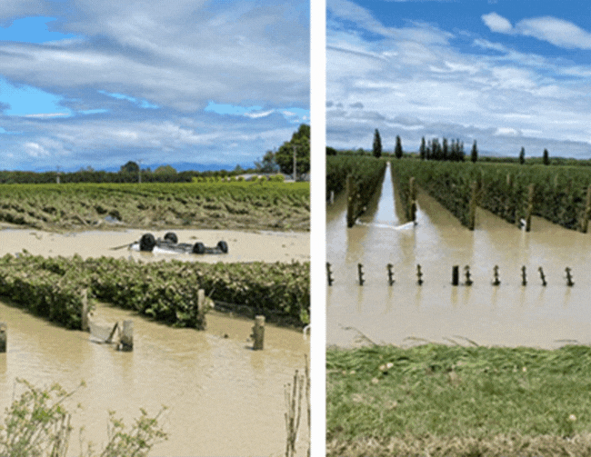 Toast in article imagery v2 Toast in article imagery v2