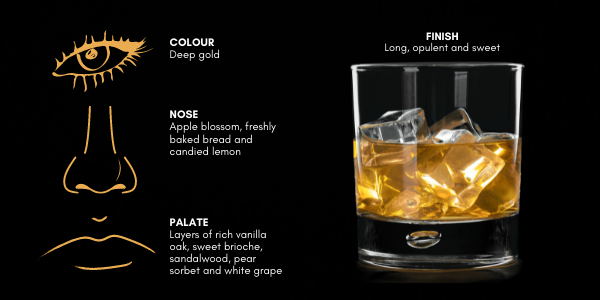 Untitled 600 x 400 px 32