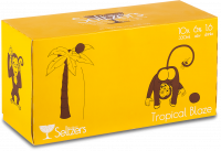 Greenhill Seltzers Tropical Blaze 10-Can Pack 