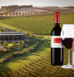 Barossa Valley Wines to Savour This Winter - With Matching Dishes