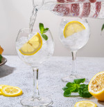 Gin & Tonic
