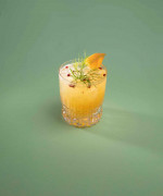 Grapefruit and Fennel V&T