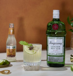 Tanqueray Ginger Mule