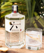 Roku Signature Serve