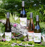 Natural Beauty in Stoneleigh