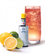 Lemon, Lime & Bitters with Angostura
