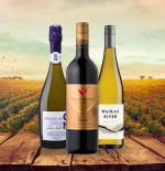 Great Date Night Wine Picks