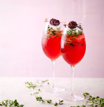 Berry Negroni Spritz