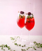 Berry Negroni Spritz