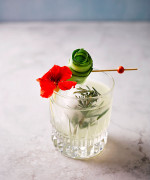 Cucumber and Rosemary Gimlet