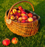 Top 5 Not-So-Sweet Ciders