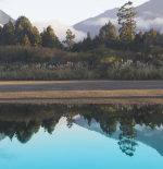 New kid on the block: Pointers Pale Ale