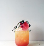 Rhubarb and Apple Sour