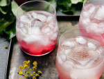 Plum Gin Fizz