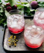 Plum Gin Fizz