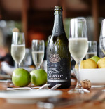 Brown Is Brilliant at Dusk