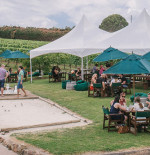 Be In To Win Waiheke Prizes from Beatnik Publishing + Wild On Waiheke