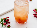Rhubarb Brandy Sour