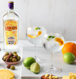 Larios Perfect Serve