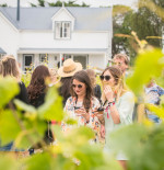 Win one of two double passes to the Toast Martinborough Wine, Food and Music Festival
