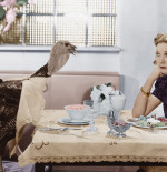 Kiwi Thanksgiving Party Ideas