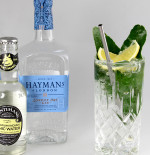 Classic English G&T