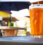 PALE AND INTERESTING