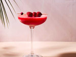 Frozen Raspberry and Elderflower Margarita