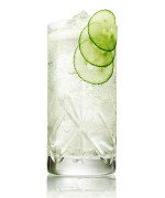 Hendrick's and Tonic