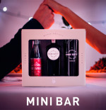 Say hello to gin on the go 