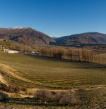 Spotlight on: Mt Difficulty Wines