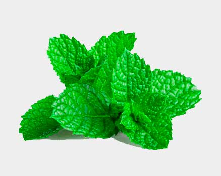 m MINTshutterstock 1470615080 Mint